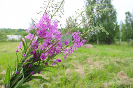 Продажа земельного участка рядом с Вологдой